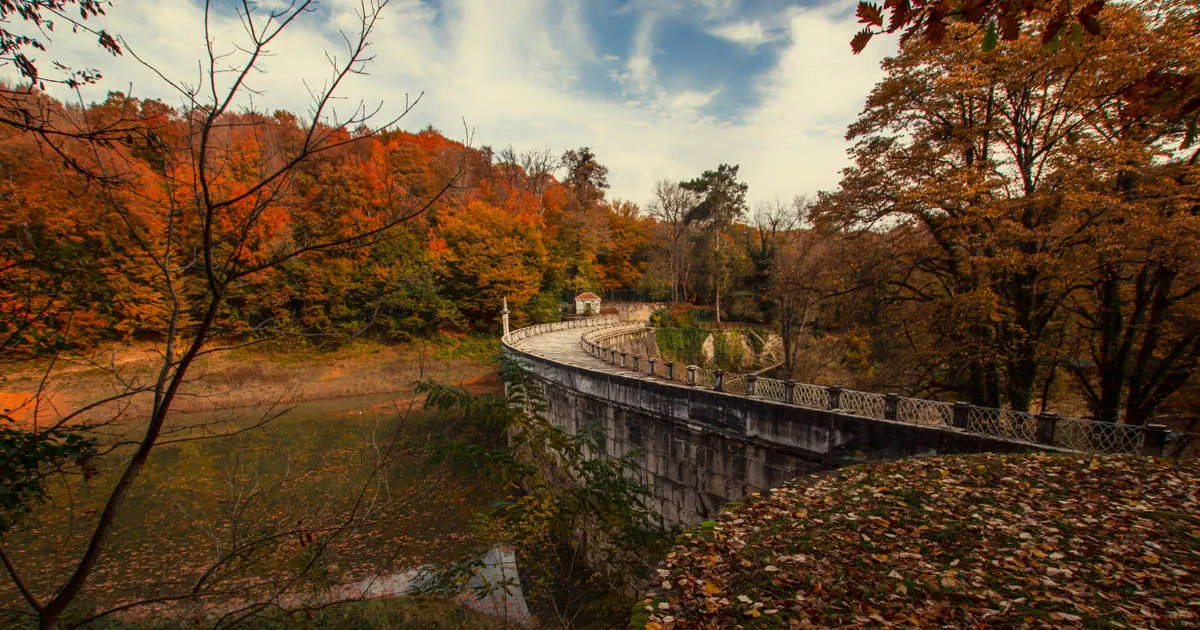 Belgrad Ormanı