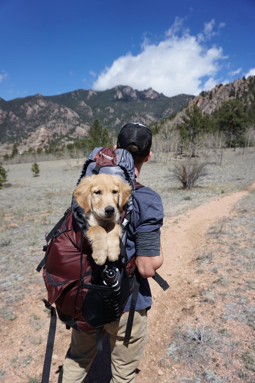 man with blue and maroon camping bag