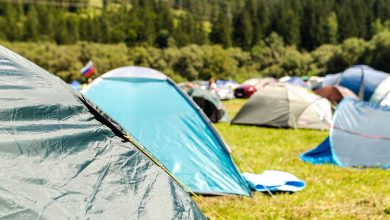 tents surrounded by trees