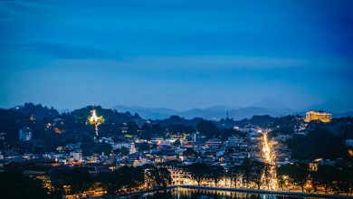 photo of lighted city buildings