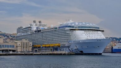 Wonder of the Seas Kruz Gemisi