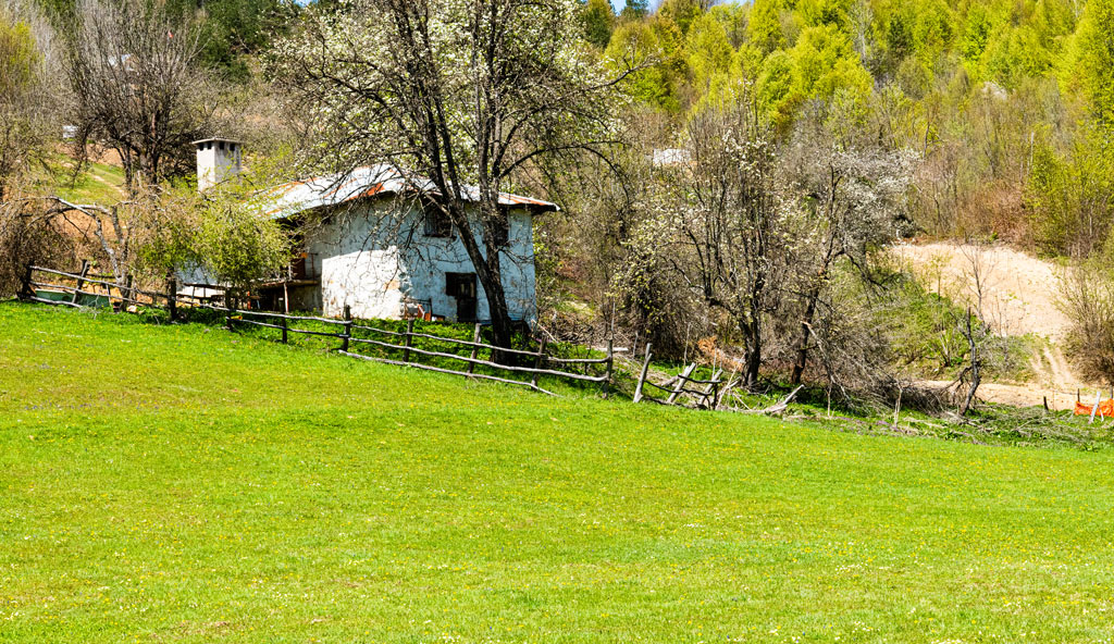 Menekşe (Menevşe) Yaylası