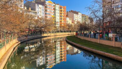 Porsuk Çayı, Eskişehir