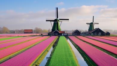 Zaanse Schans, Amsterdam