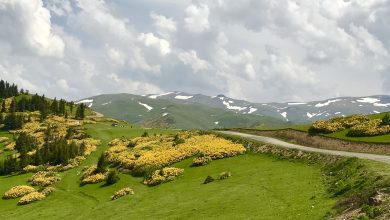 Kümbet Yaylası, Giresun