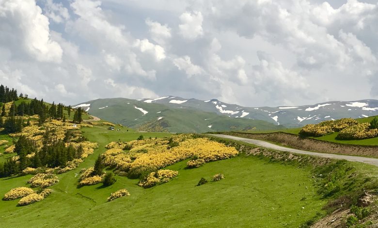 Kümbet Yaylası, Giresun