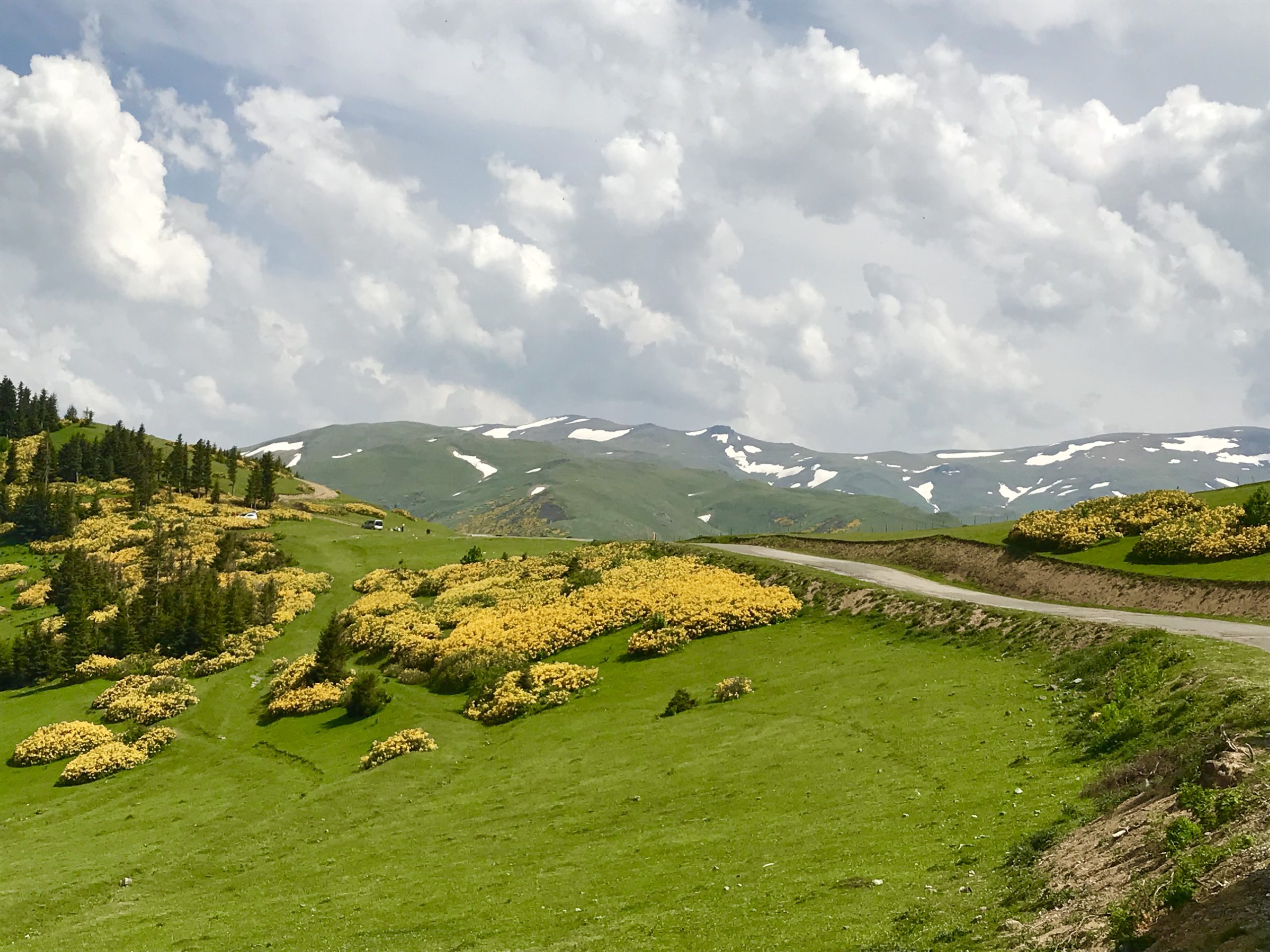 Kümbet Yaylası, Giresun