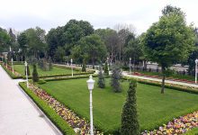 Yıldız Parkı Korusu