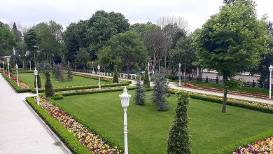 Yıldız Parkı Korusu