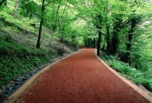 Yürüyüş Yolu, Belgrad Ormanı