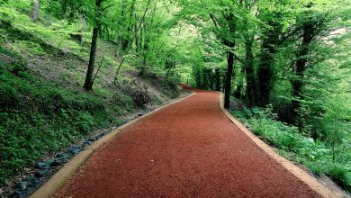 Yürüyüş Yolu, Belgrad Ormanı