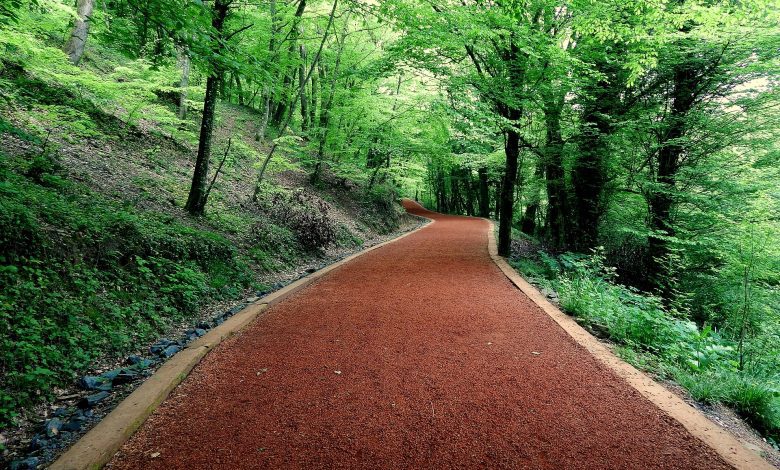 Yürüyüş Yolu, Belgrad Ormanı
