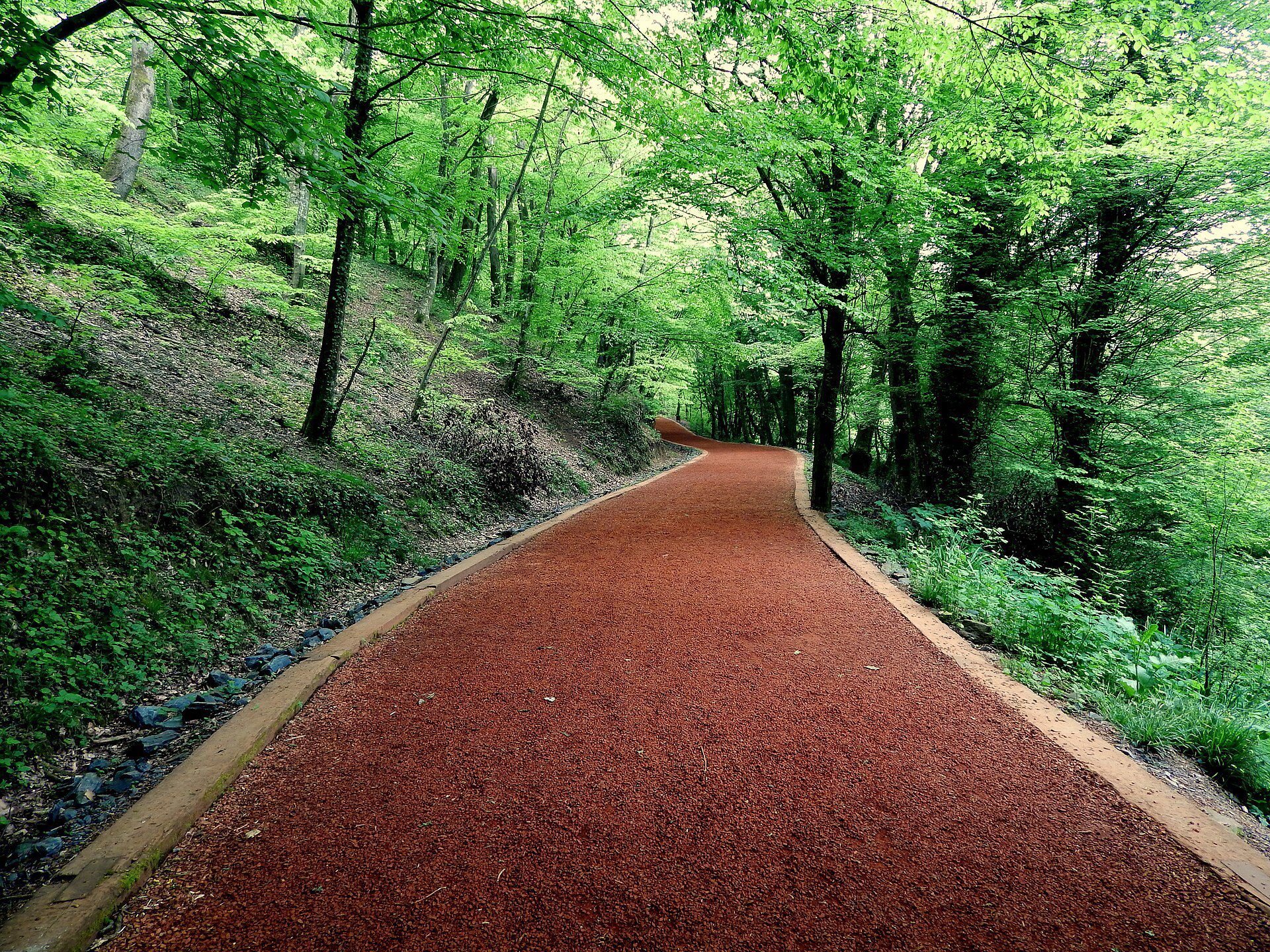 Yürüyüş Yolu, Belgrad Ormanı