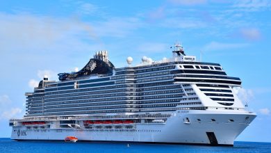 MSC Seascape Cruise Gemisi