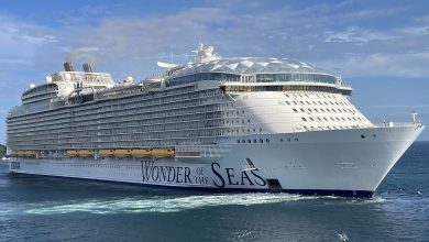Wonder of Seas Kruvaziyer Gemisi