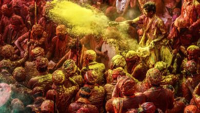 Holifest, Hindistan